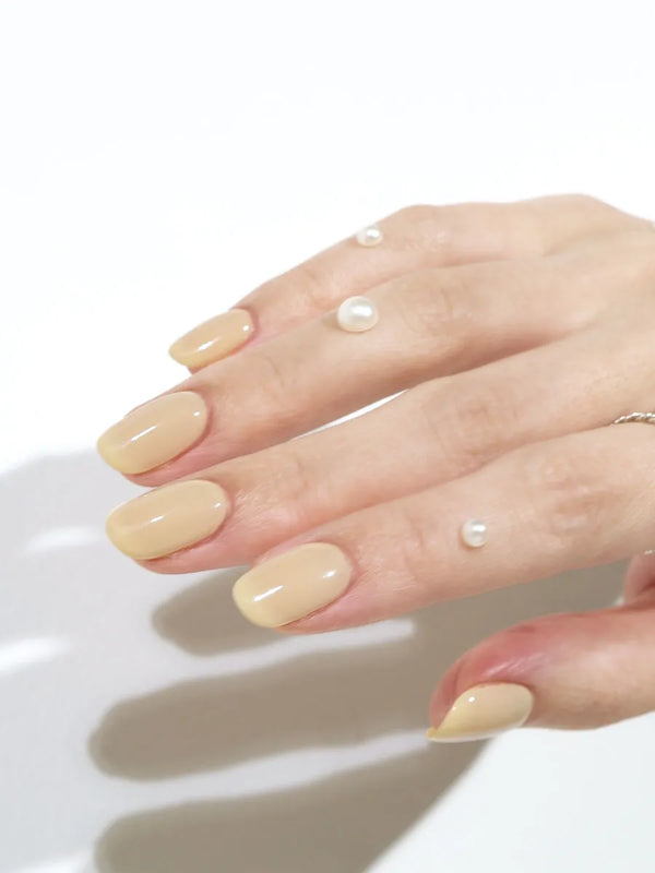 lemon chiffon (コンテナ)