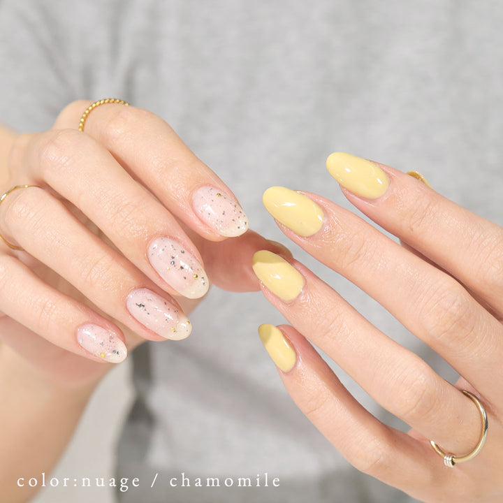 chamomile
