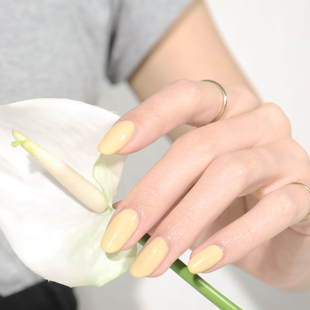chamomile