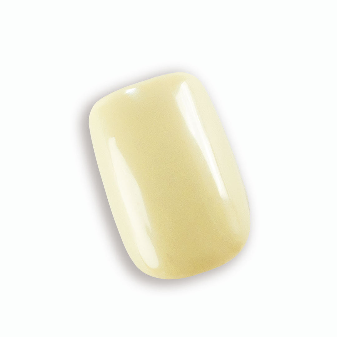 chamomile