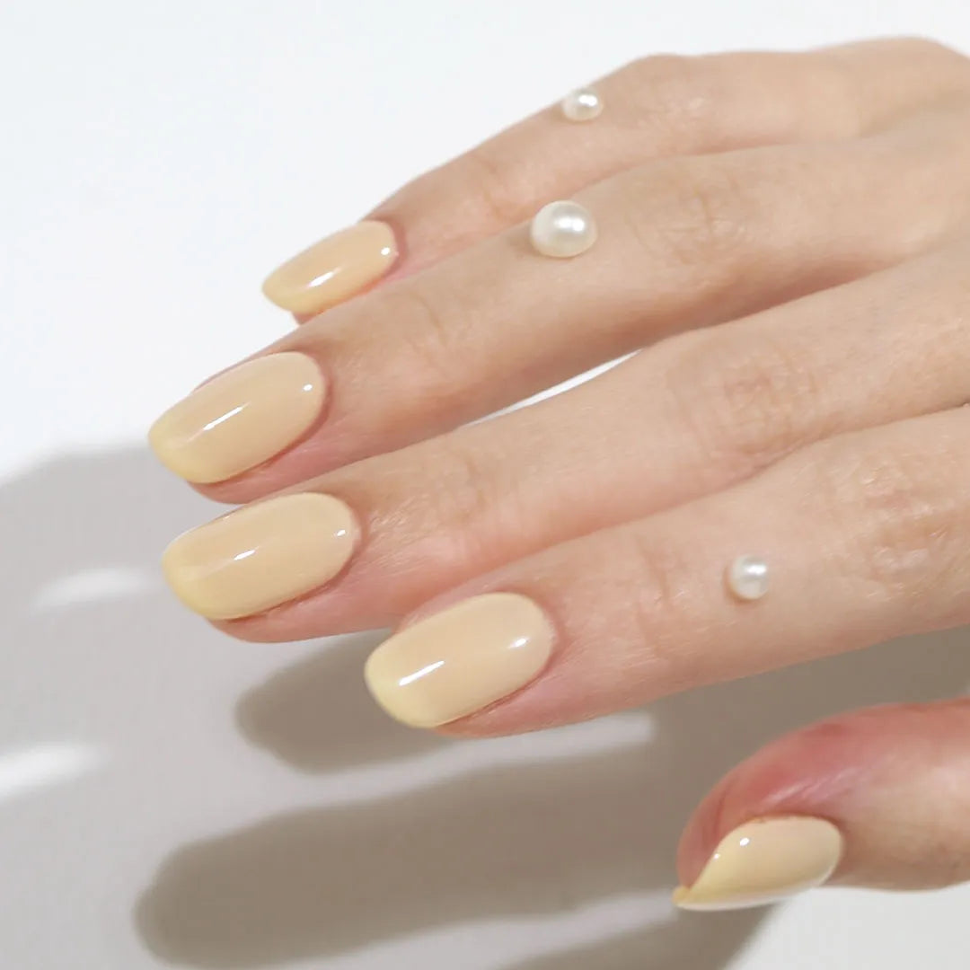 lemon chiffon (コンテナ)