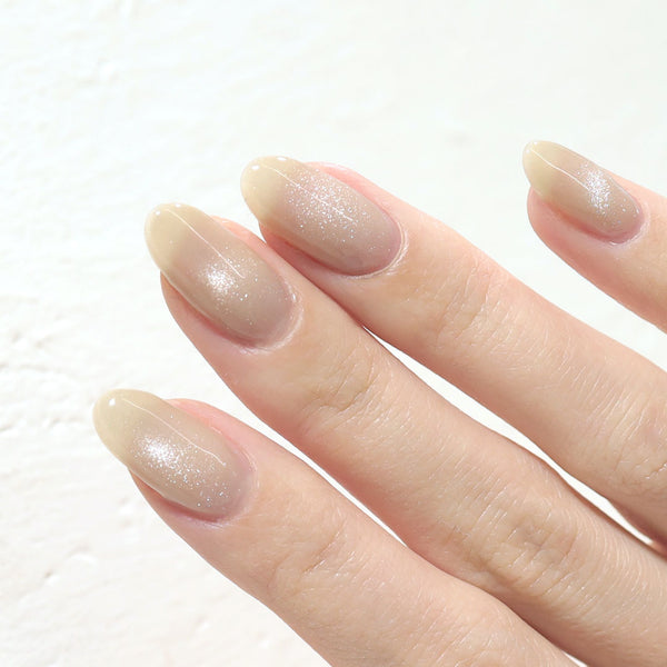 nude shell +magnet