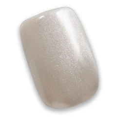 nude shell+magnet
