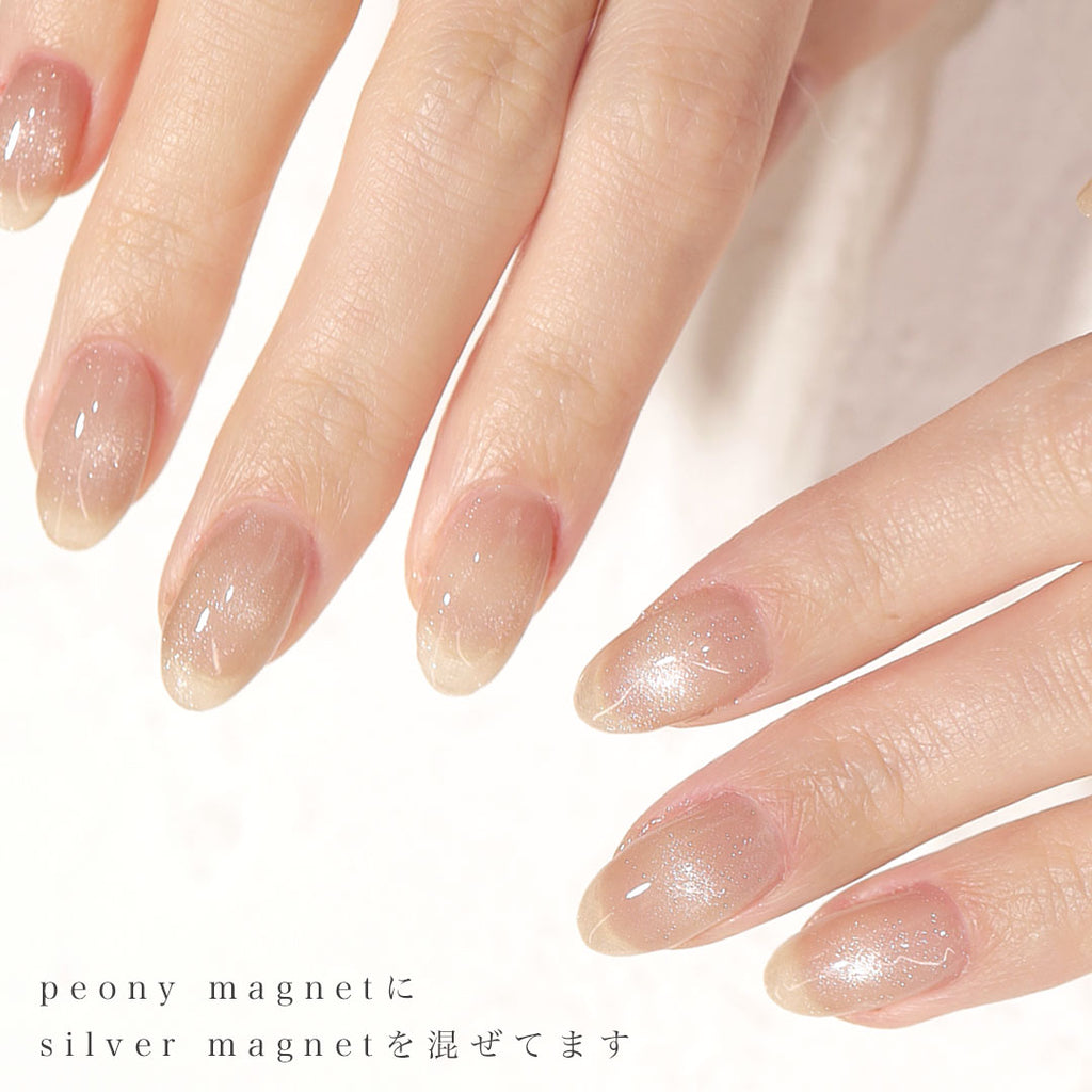 silver magnet – deumoon