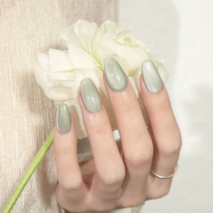 sprout